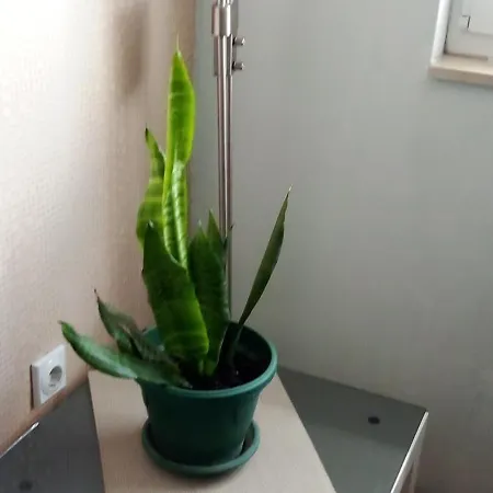 דירה Apartman Mateaa *